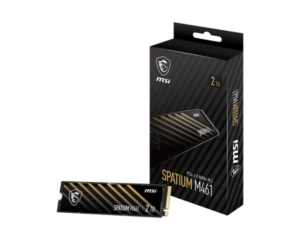 SPATIUM M461 PCIe 4.0 NVMe M.2